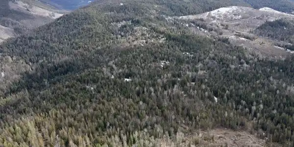 Image 2: 002_dji_fly_20260310_130912_623_1773