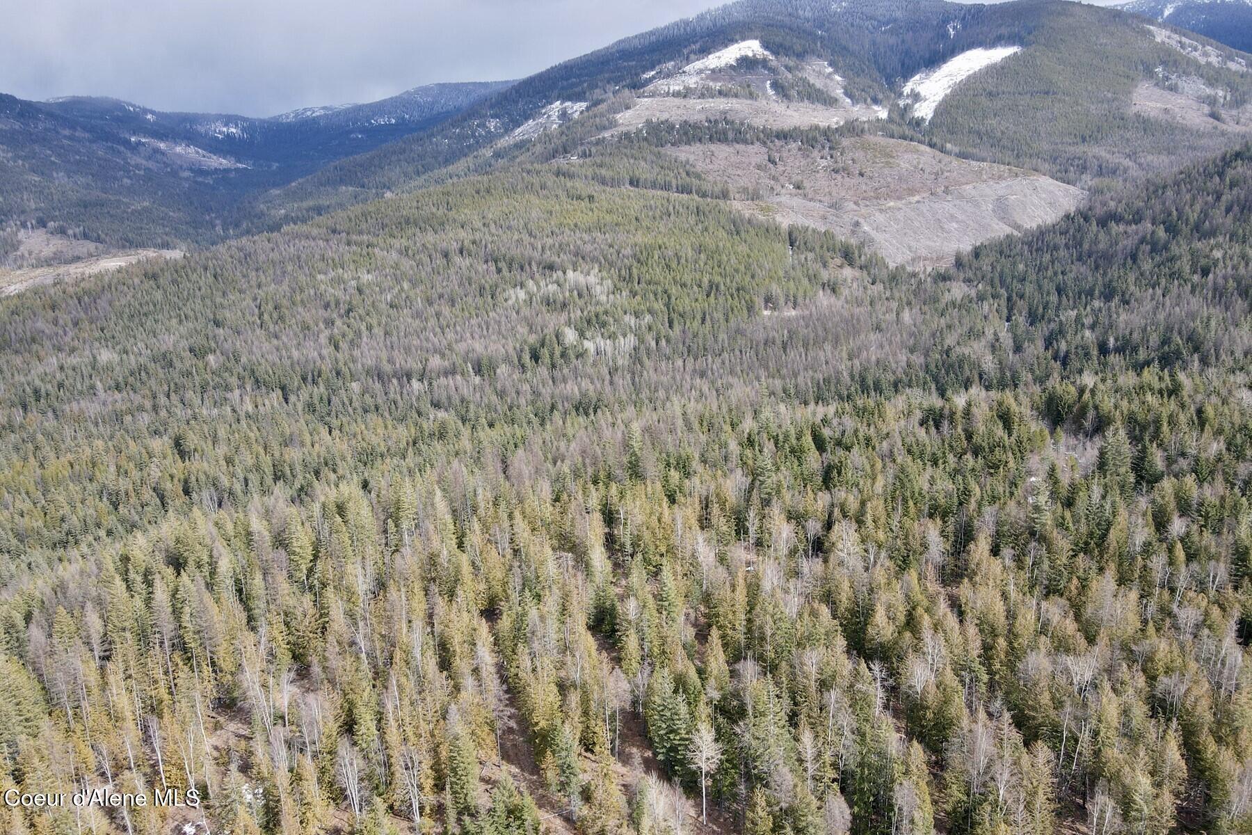 Image 3: 003_dji_fly_20260310_130542_619_1773