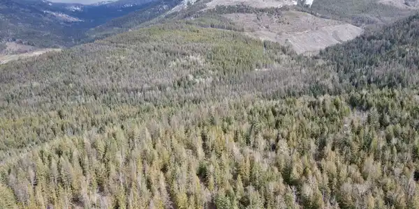 Image 3: 003_dji_fly_20260310_130542_619_1773