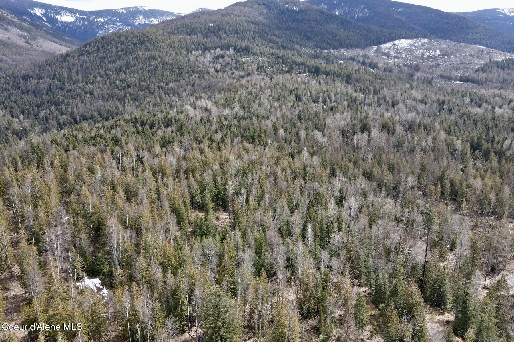 Image 4: 004_dji_fly_20260310_130458_618_1773