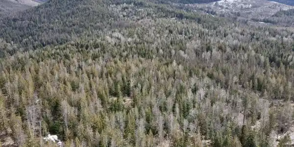 Image 4: 004_dji_fly_20260310_130458_618_1773