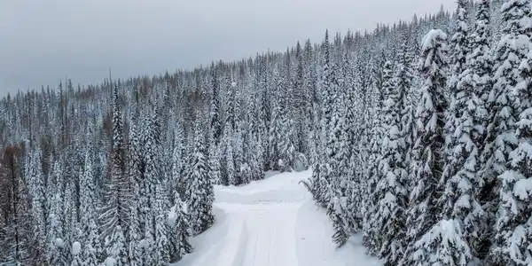 LT 6 BLK 2 SNAG LINE ROAD