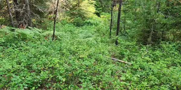 NNA Reeder Bay Rd