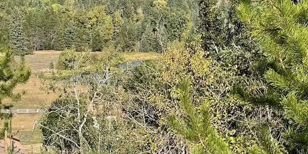 Image 2: View