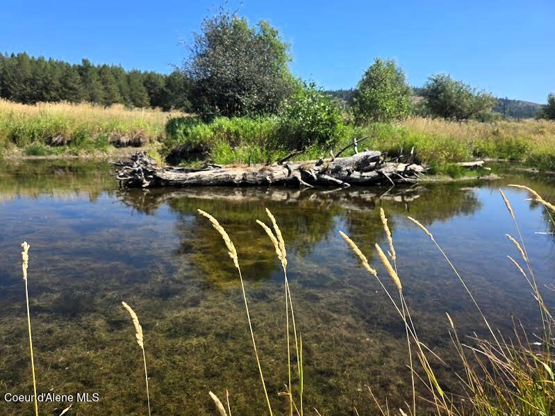 Image 4: Main pond.-2 jpg.jpg