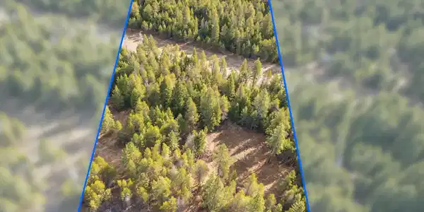 NKA Pine Meadow