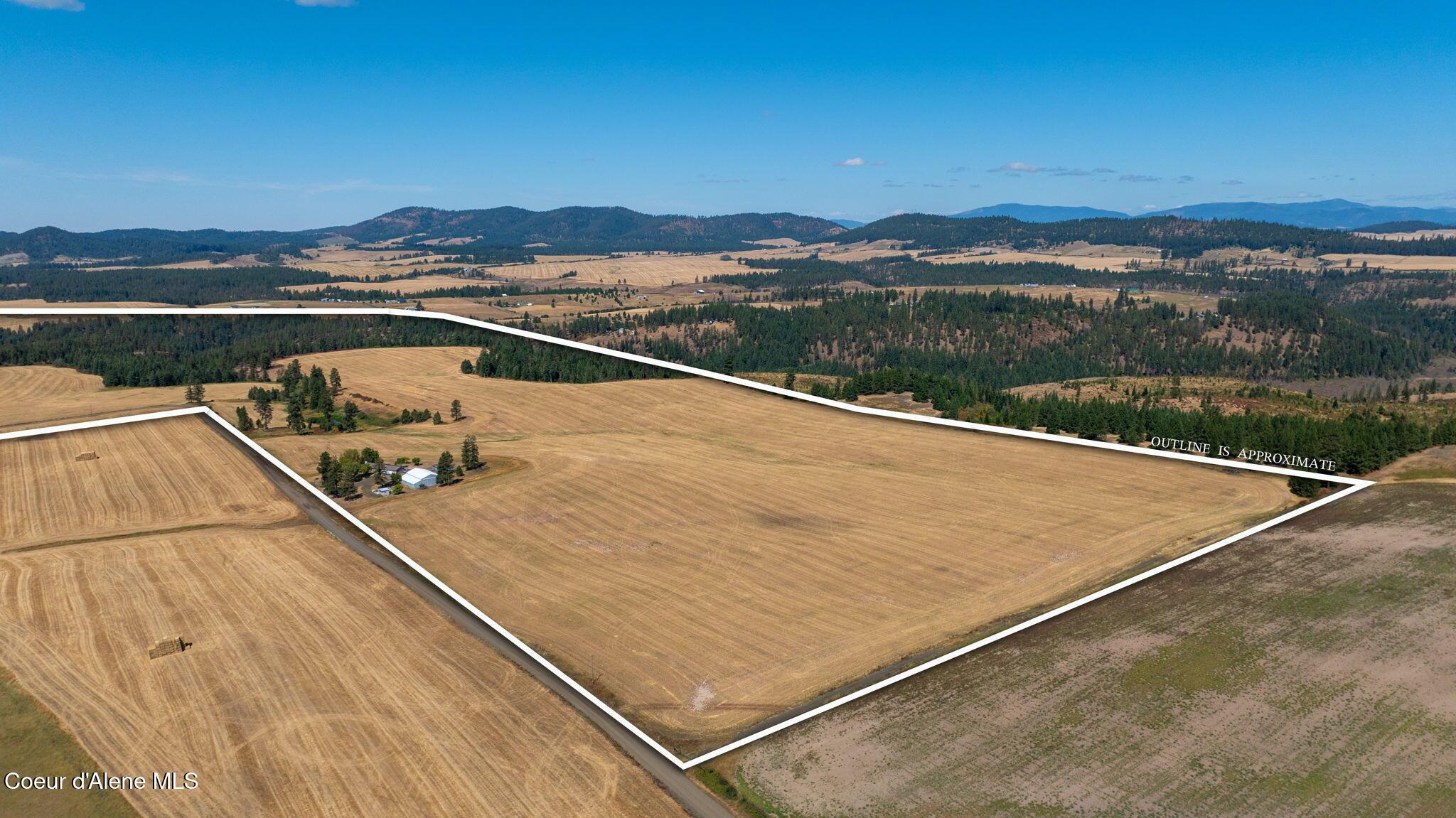 Image 2: 3-web-or-mls-DJI_0113 outlined
