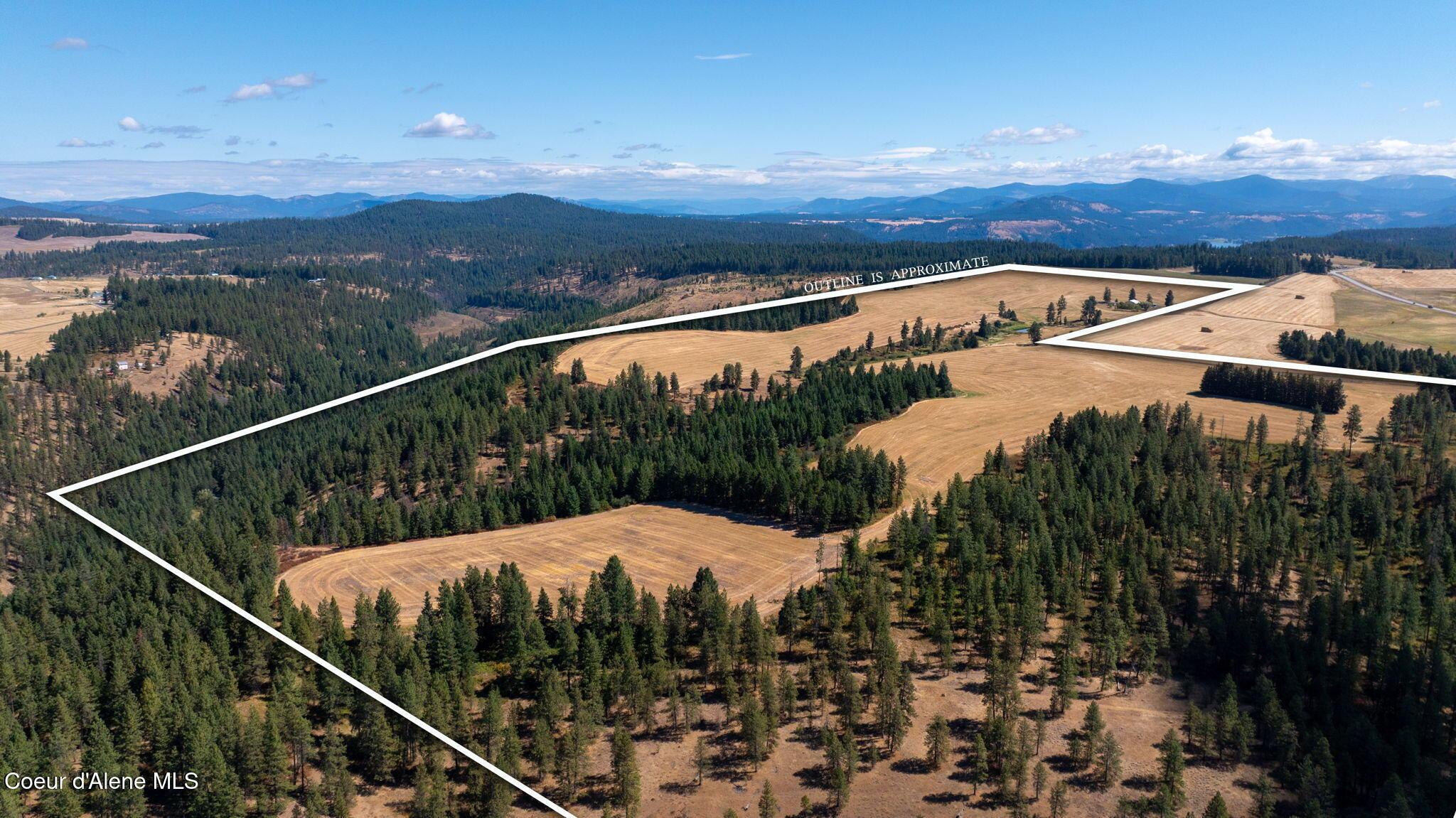 Image 3: 7-web-or-mls-DJI_0127 outlined