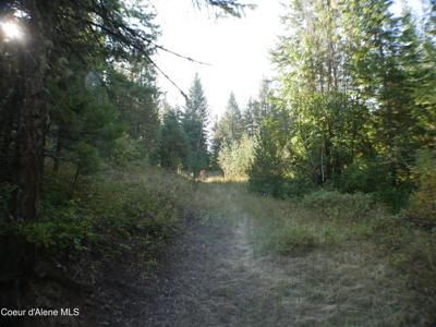 Mutch Creek Road (Parcel 3)
