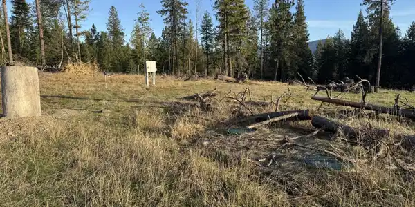 Image 2: 2