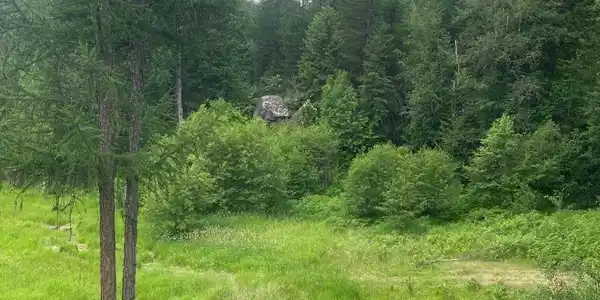 Image 3: IMG_1937 (1)