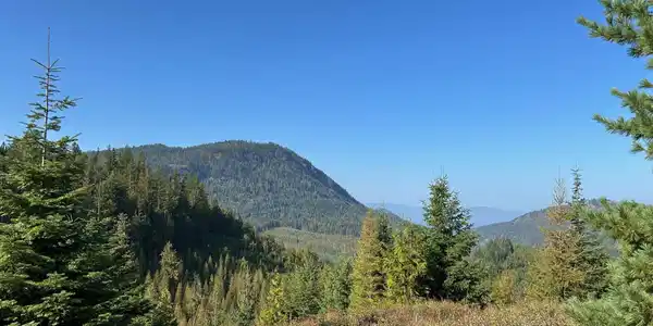 NKA Tract 6 USFS 2294