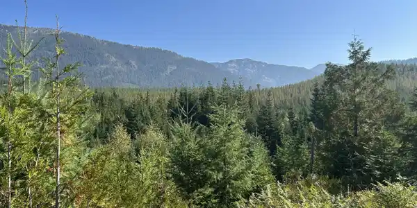NKA Tract 5 USFS 2294