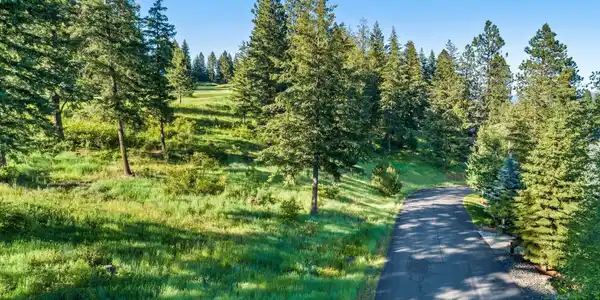 Image 2: Gentle Slope homesite