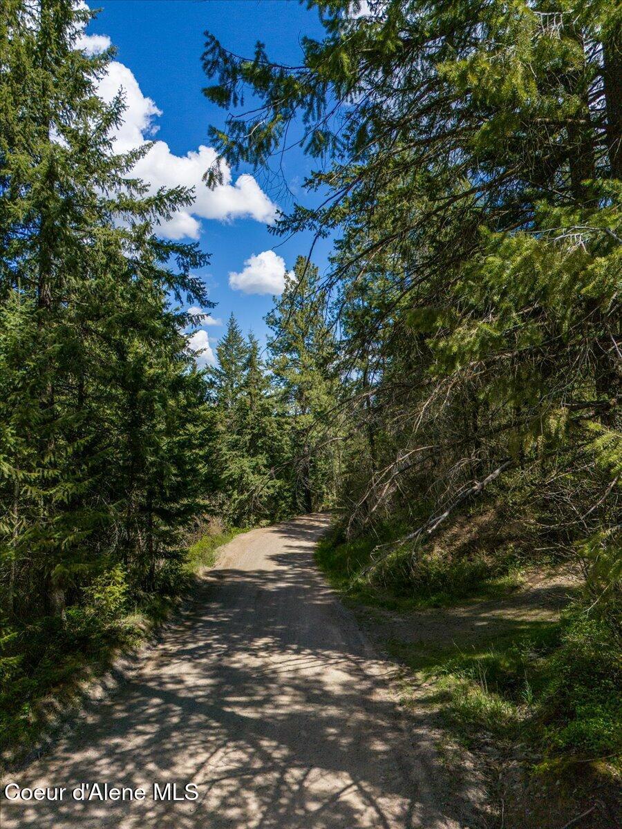 Image 1: 01-DJI_20240503114343_0250_D