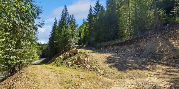 Image 2: NNA Lower Pack River Road