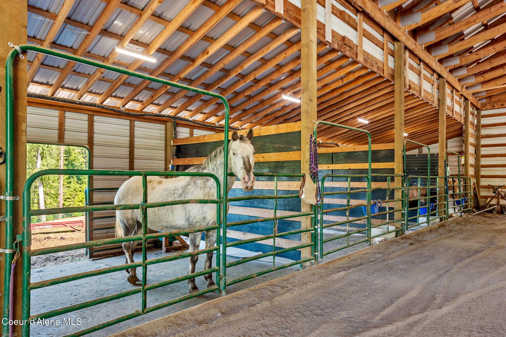 Image 4: 4-web-or-mls-1446 Sagle Creek-4