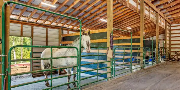 Image 4: 4-web-or-mls-1446 Sagle Creek-4