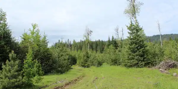 NKA Ropp Rd.