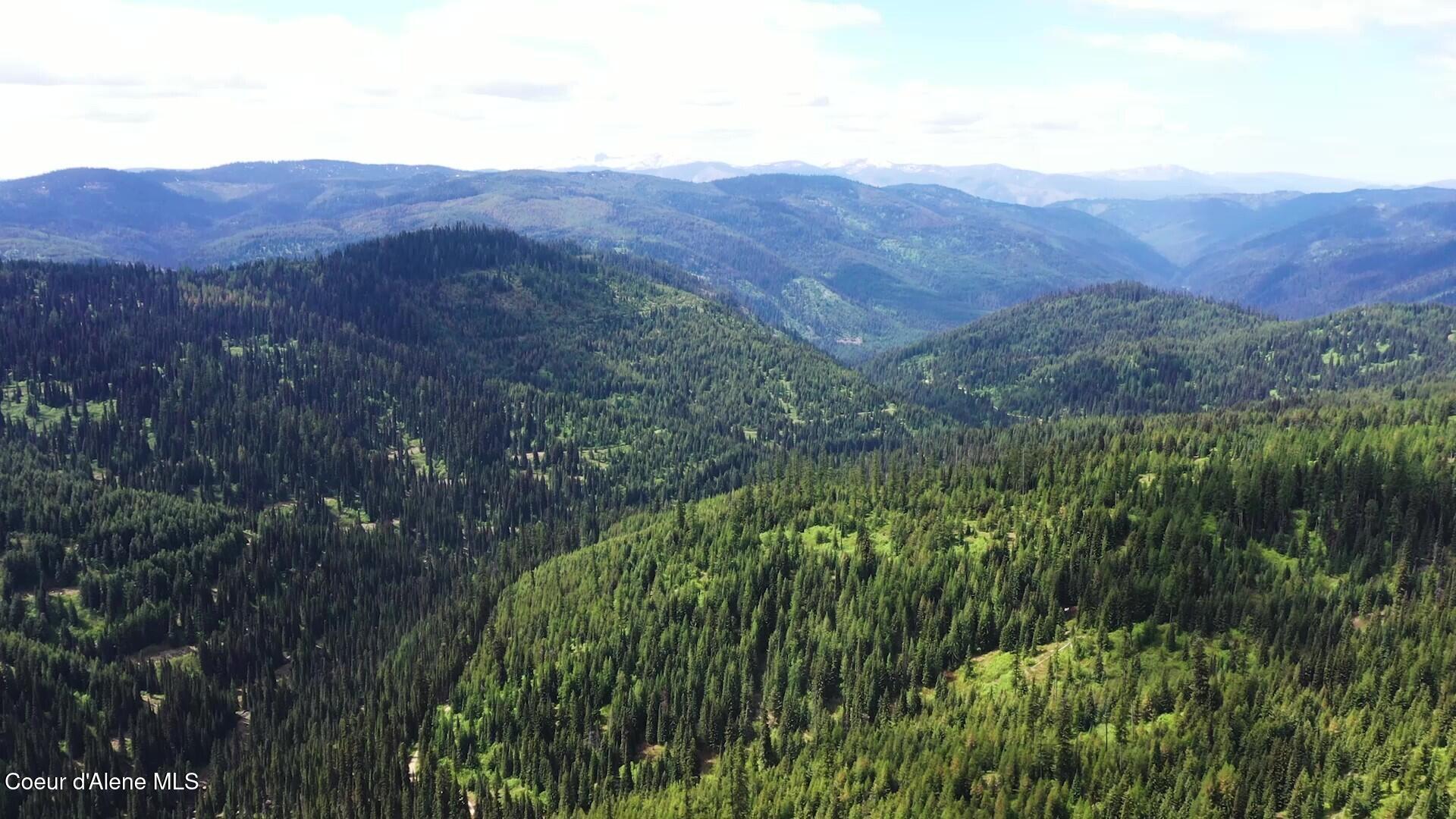 Image 4: Video Pic 1