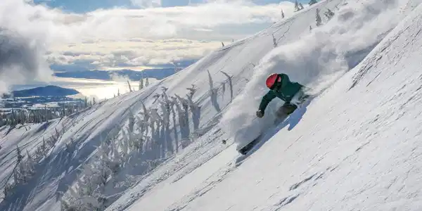 Image 3: Schweitzer Lifestyle