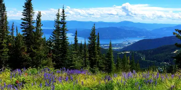 Image 4: Schweitzer Lifestyle