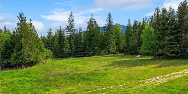 Image 4: Front yard