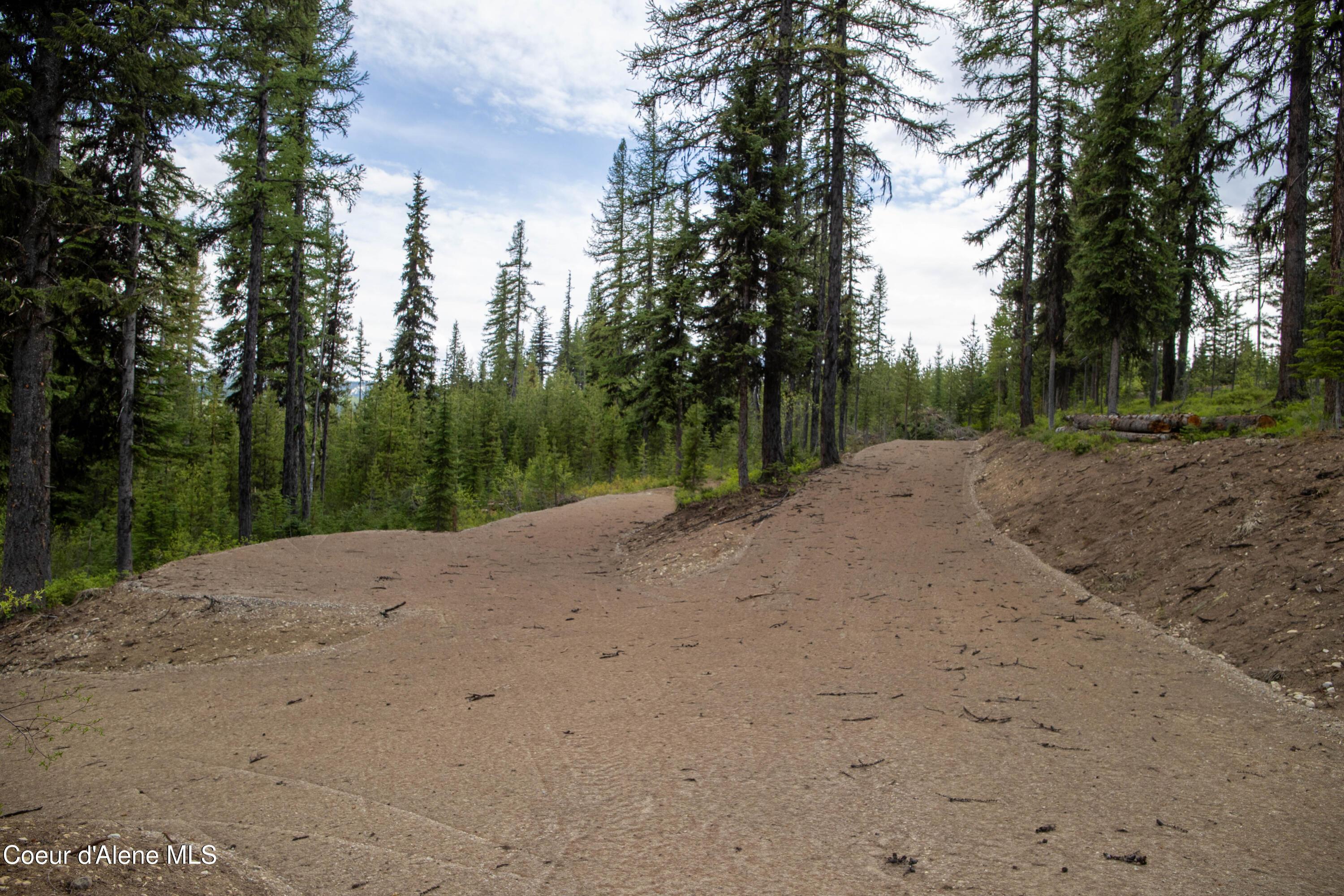 Image 4: IMG_2045