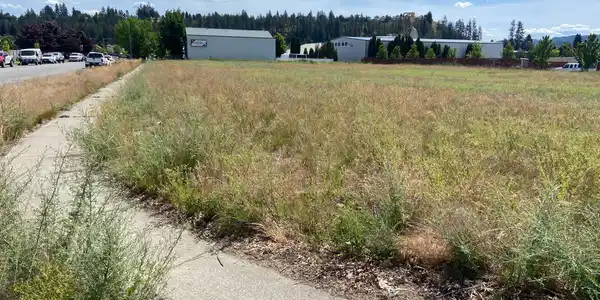 Image 3: Covington