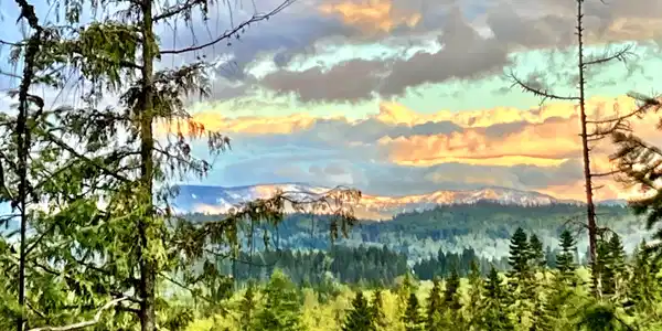 NNA White Mountain Rd