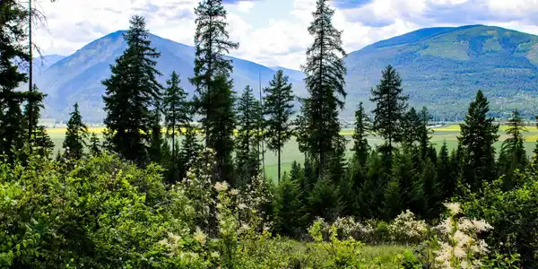 Image 2: View from Property