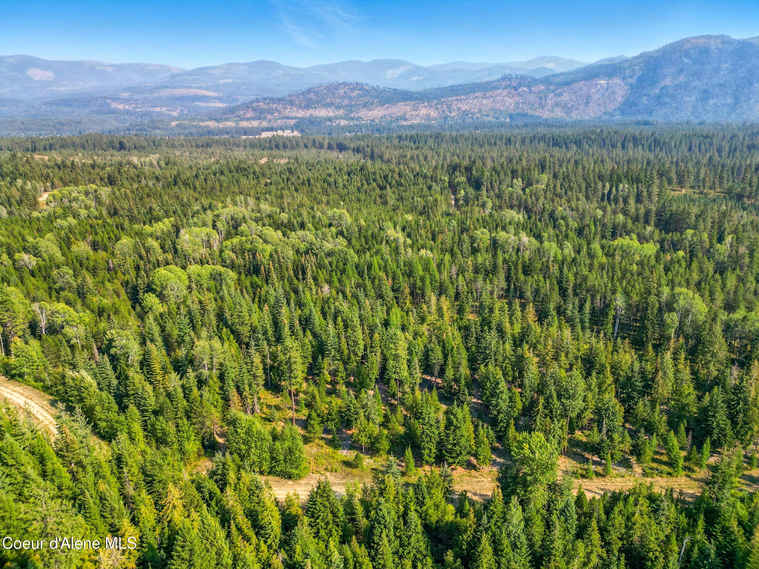 Image 4: 3_dji_0123