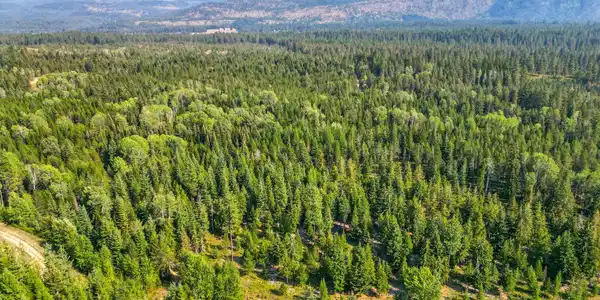 Image 4: 3_dji_0123