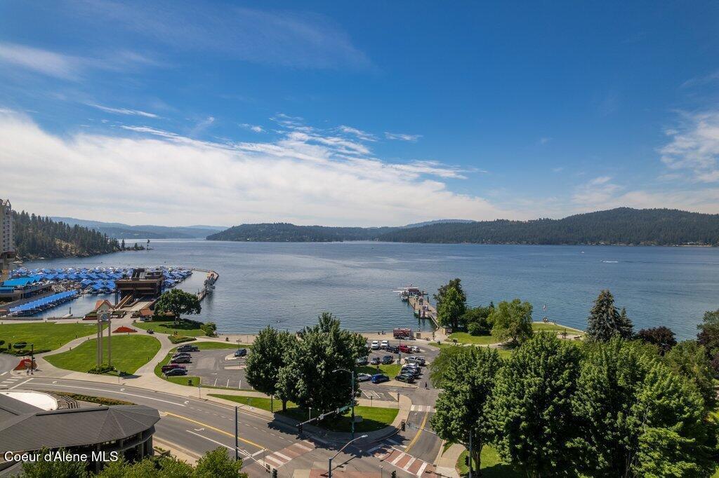 Image 1: A view from the Window!