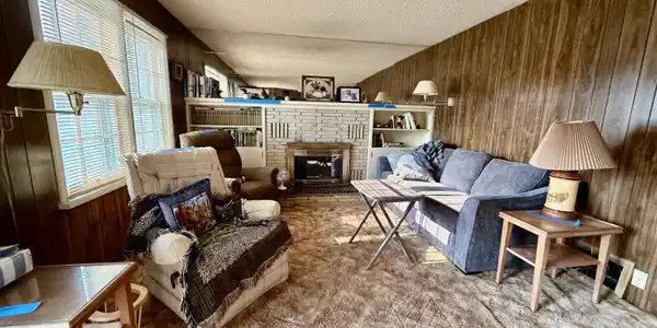 Image 3: Living Room