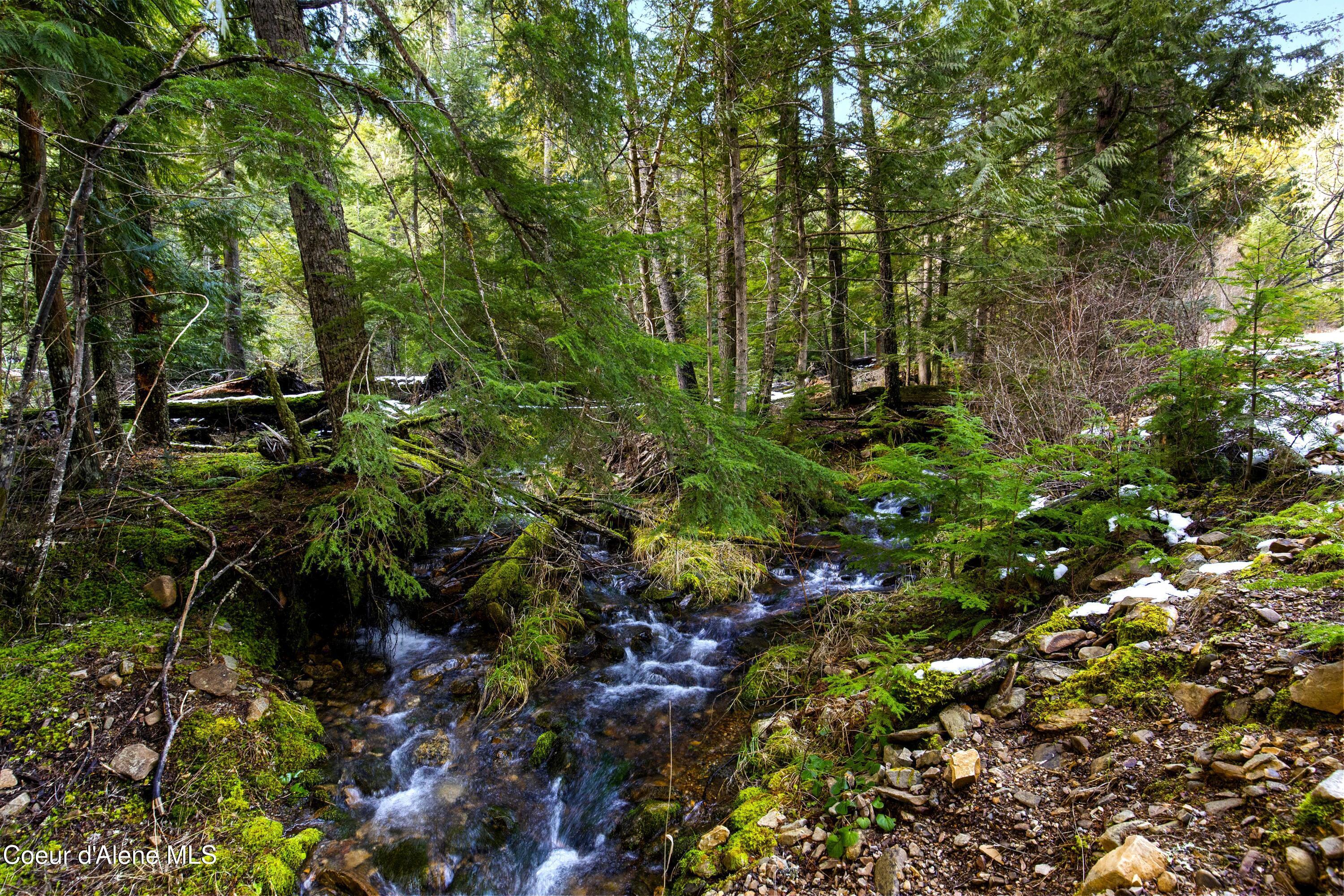 Image 3: 3. Mutliple Creeks