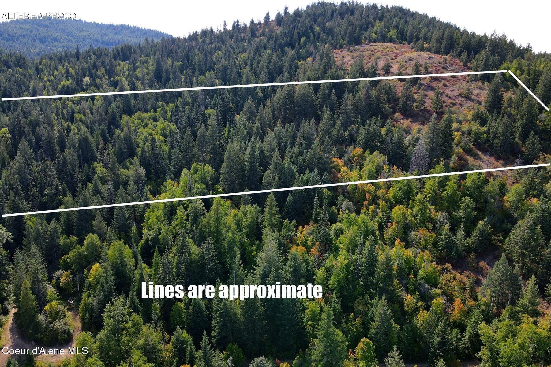 Image 2: Photo Has Been Digitally Altered