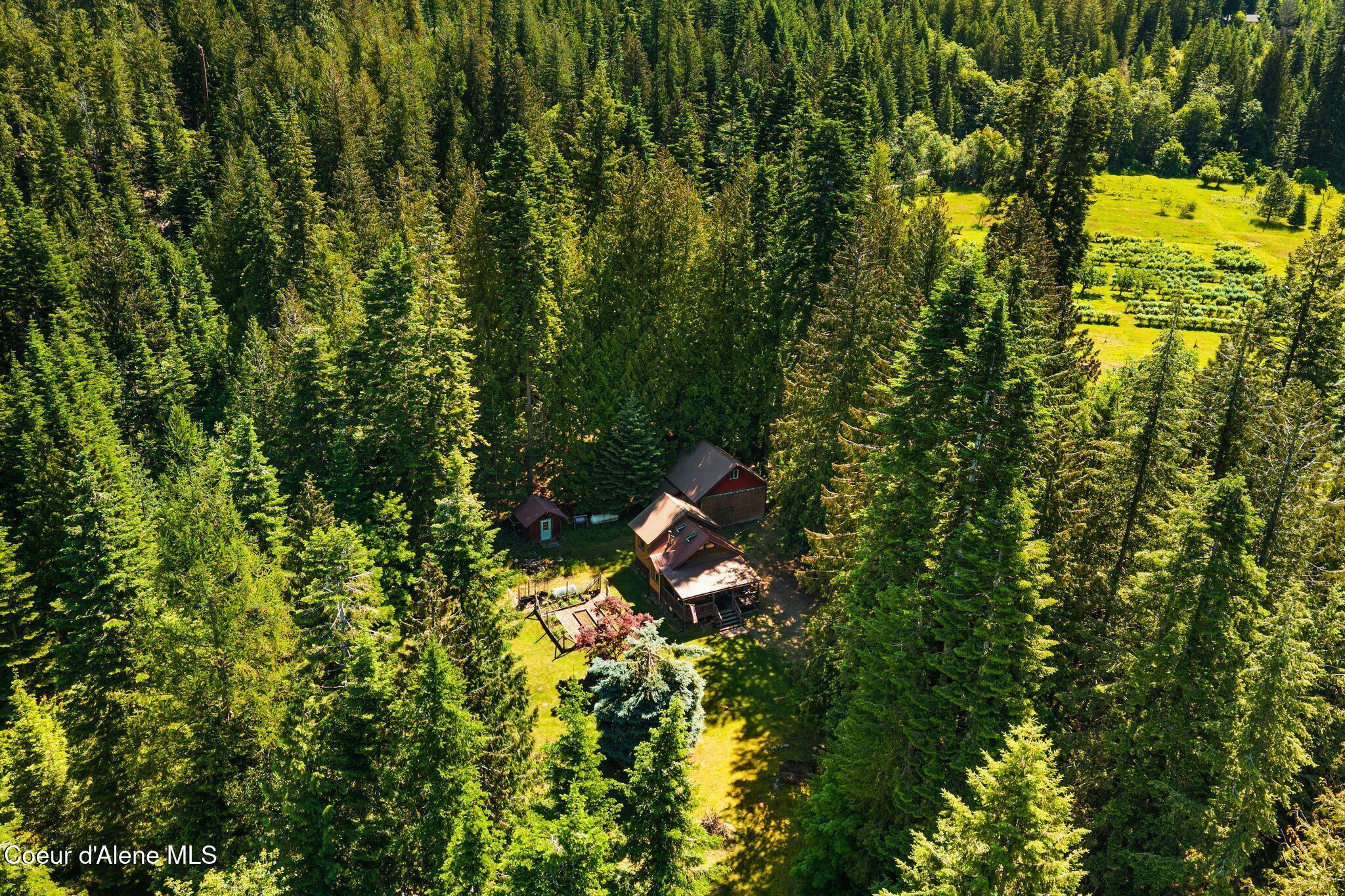 Image 4: 3_DJI_20260617102710_0600_D