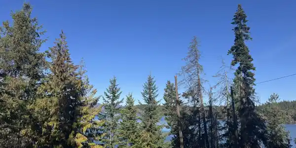 Image 3: Lake view