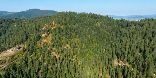 Image 3: DJI_0674