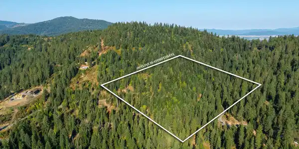 Image 4: DJI_0674outlined