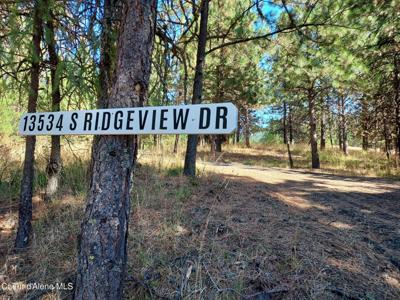 13534 S RIDGEVIEW DR