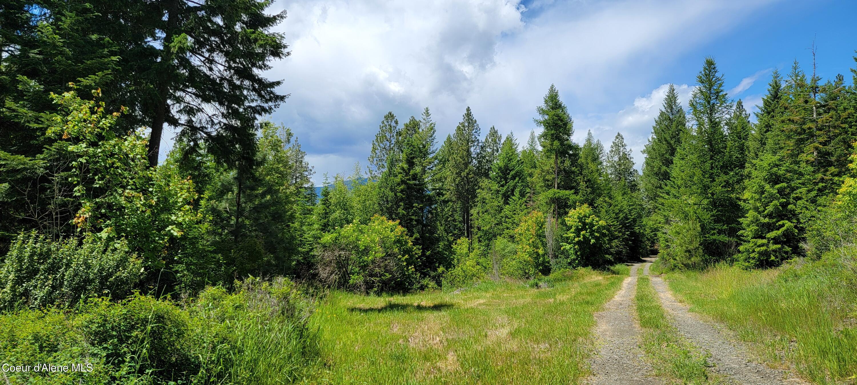 Image 3: 20240619_131217