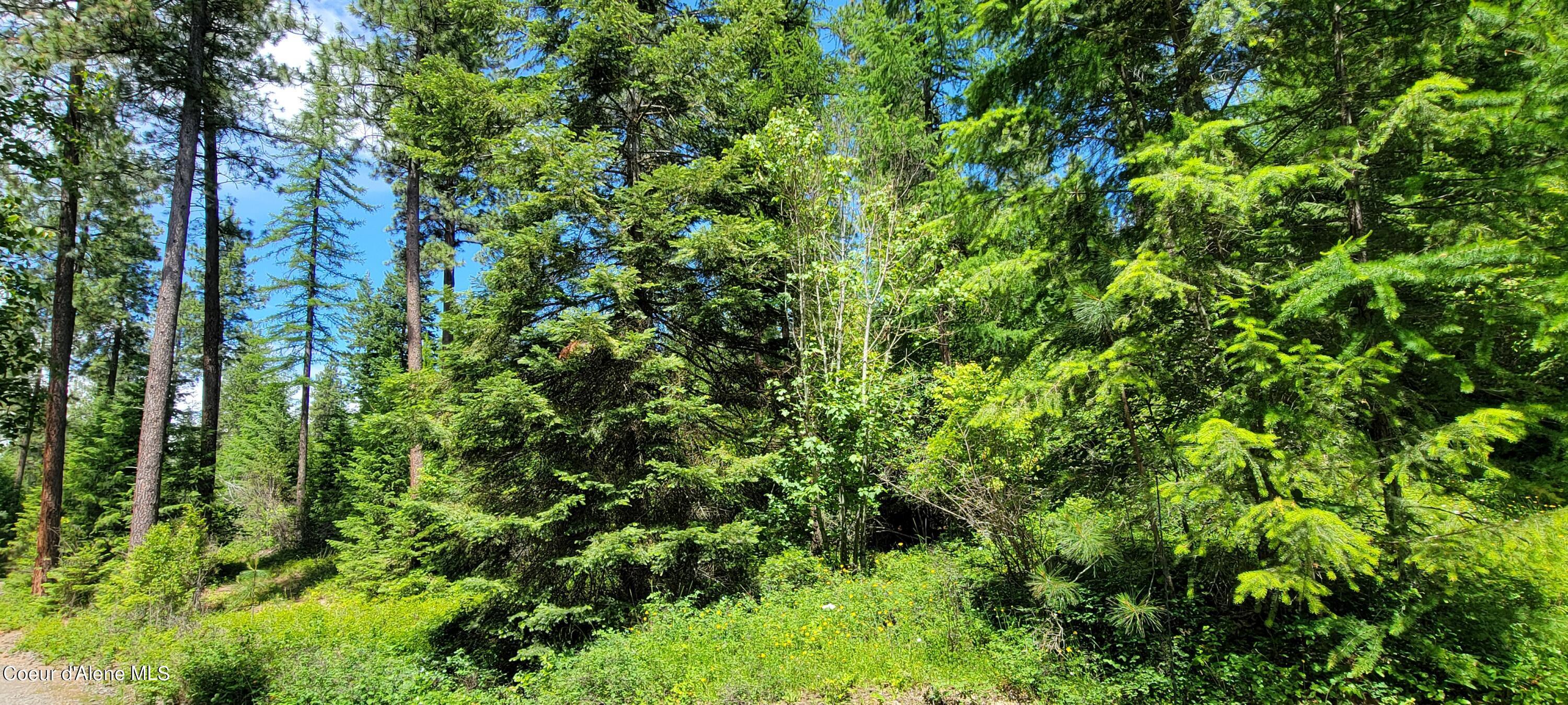 Image 4: 20240619_131358