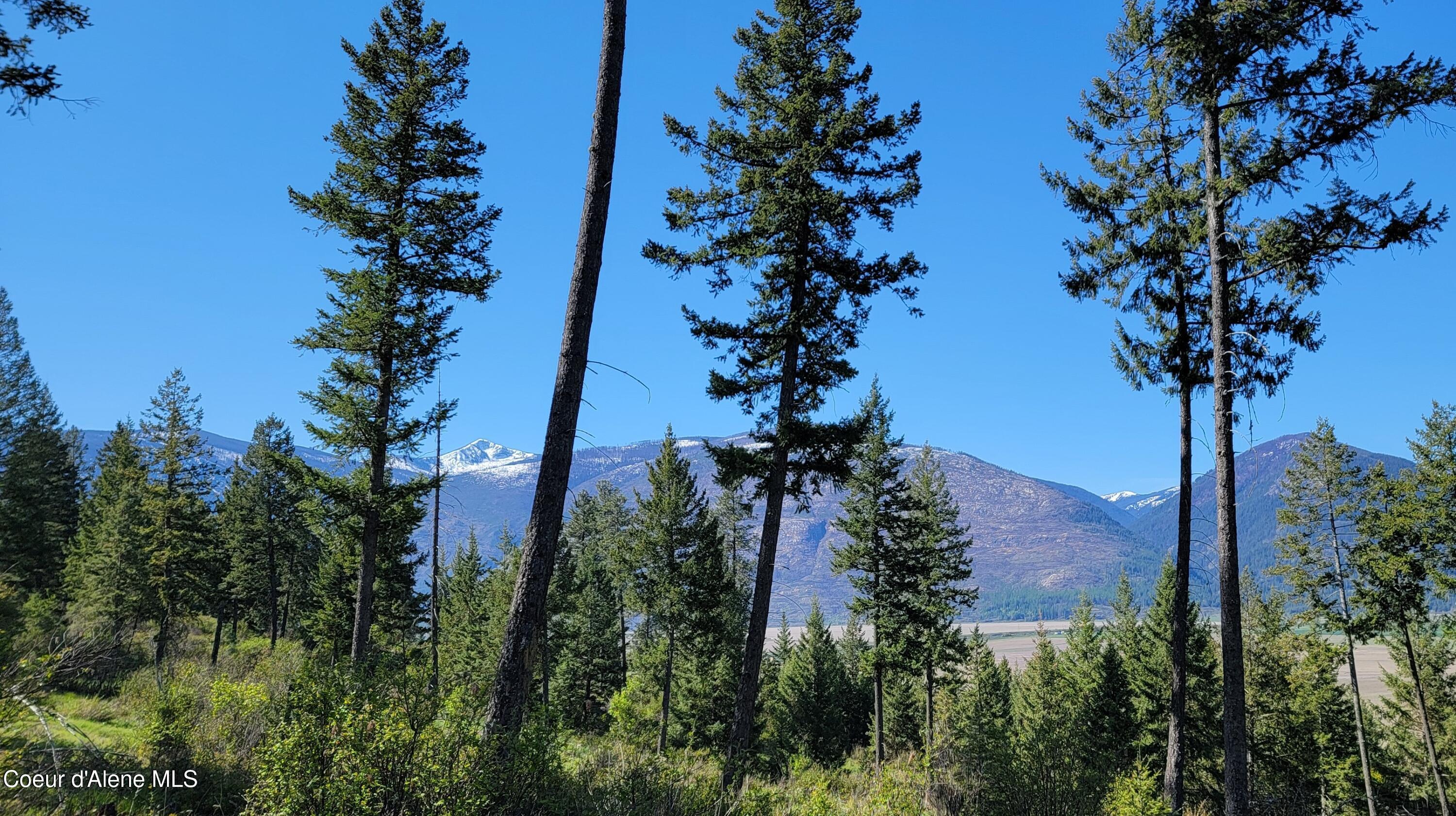 Image 1: 20240423_100545 square