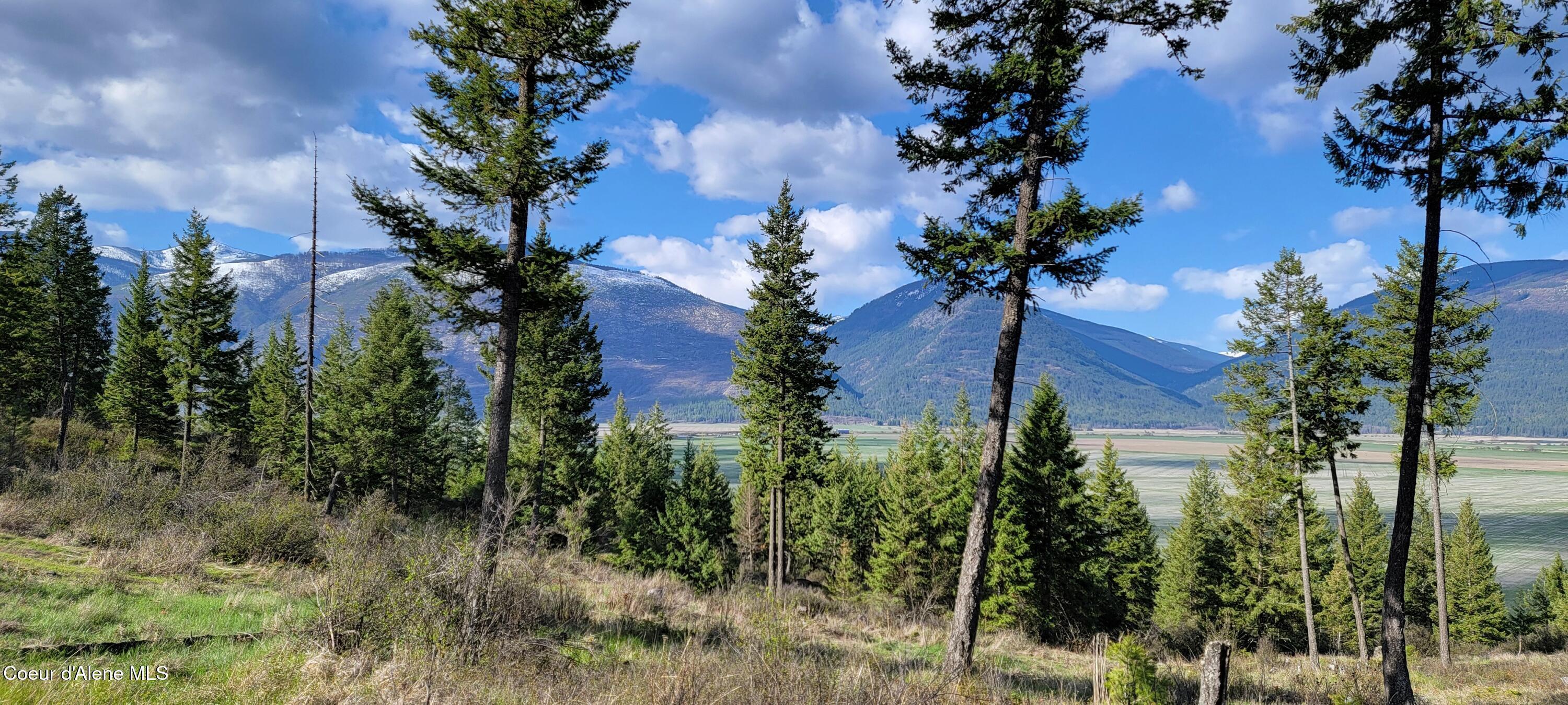 Image 2: 20250416_091544