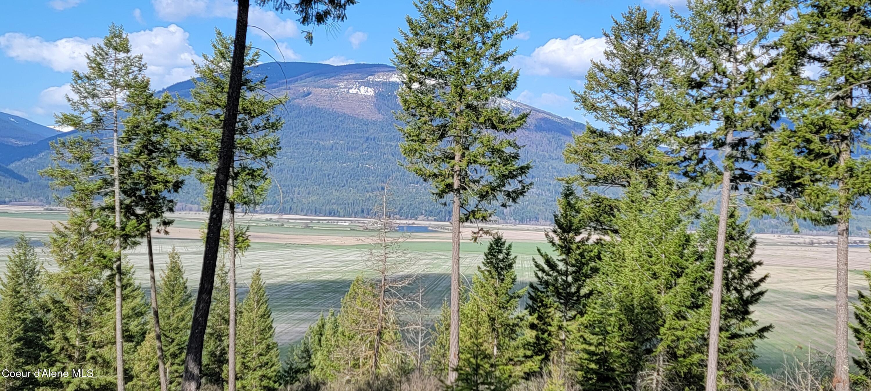 Image 3: 20250416_091551