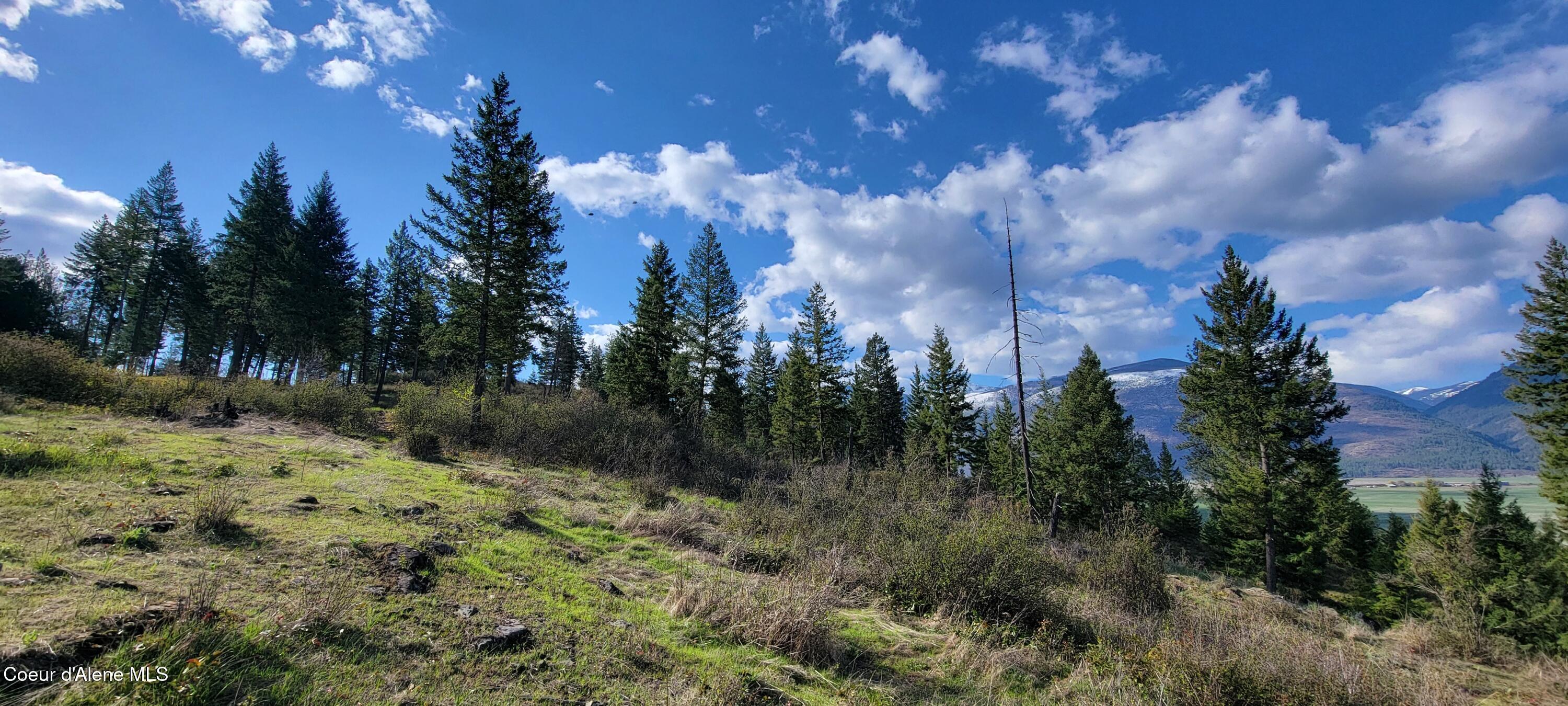 Image 4: 20250416_091625