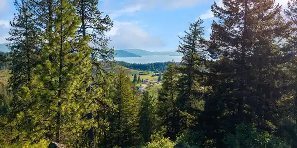 Image 4: Lake Views