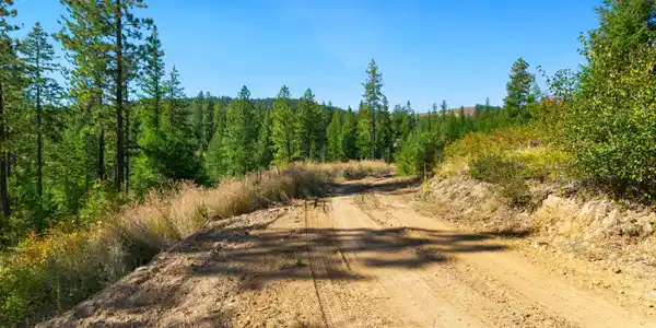 NNA Stone Rd Lot 5 (20.0 Acres)
